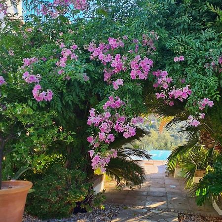 Cortijo La Haza Bed & Breakfast Iznajar Exterior photo